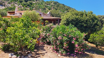 Blick vom Garten auf die Villa Nitiola