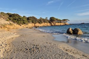 Plage d'Acciaghju 20 Minuten zu Fuß mit FKK Bereich